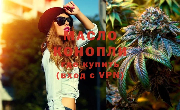 гидра Гусев