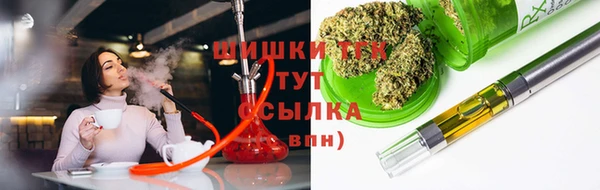 гидра Гусев