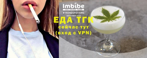 гидра Гусев