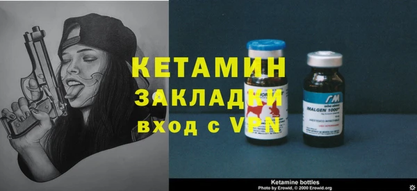 гидра Гусев
