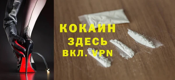 гидра Гусев