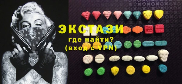 гидра Гусев