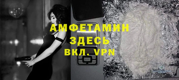 стаф Дмитров
